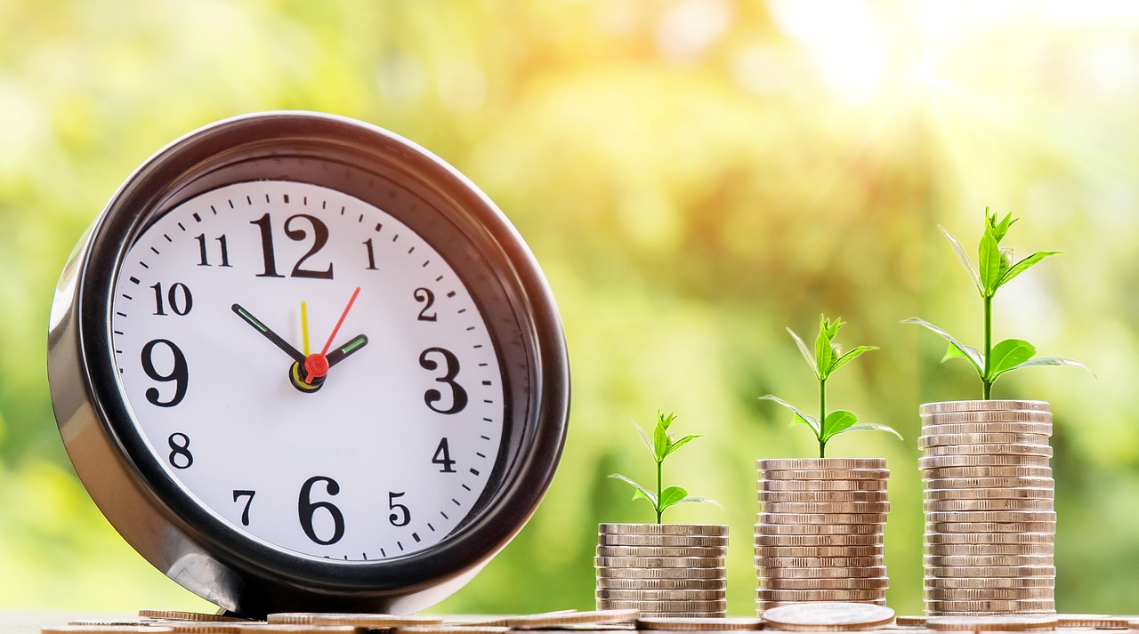 Saiba Como Investir Dinheiro no Tesouro Direto