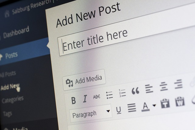 Saiba Como Ser Blogueira em 5 Passos