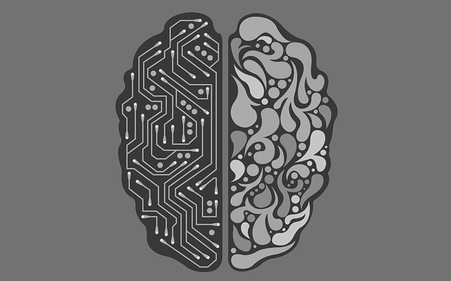 Entenda o que é Neuroplasticidade