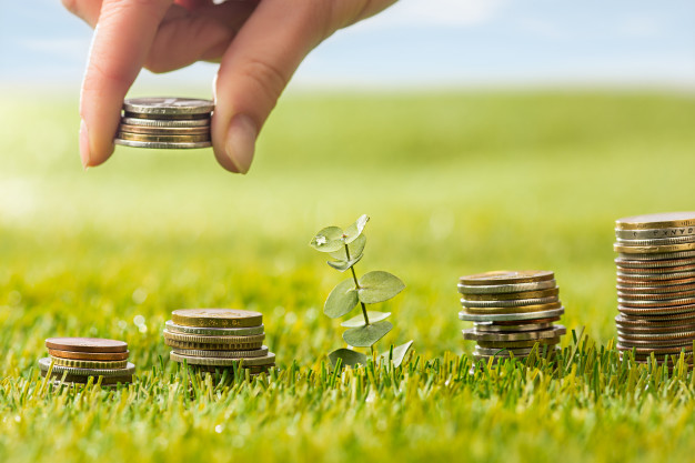 Wealth Management — O Que é A Gestão Patrimonial e Como Saber a Hora de Contratar